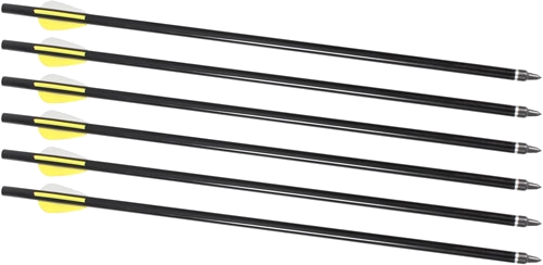 Traditions Arrows 16" 6-Pack for Xbr Arrow Launcher