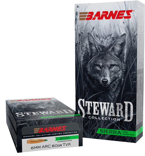Barnes Stwrd 80 Grain Ammunition – 20 Rounds