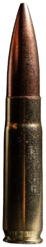 Atomic Ammunition 220 Grain Ammunition – 20 Rounds