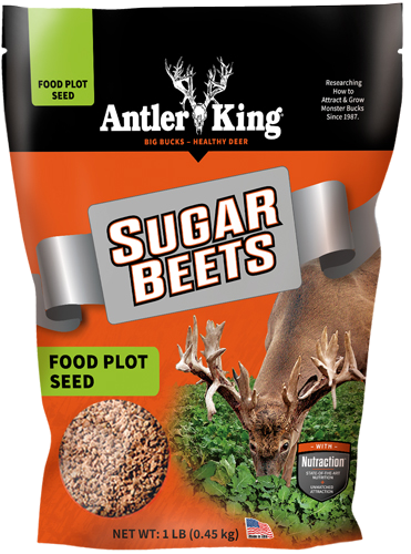 Antler King Sugar Beets 1 Bag Annual 1/8 Acre