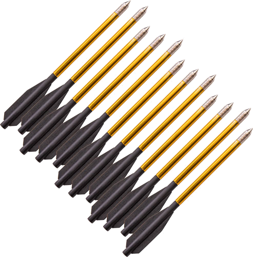 Bear Archery X Desire Crossbow Bolts 12-Pack