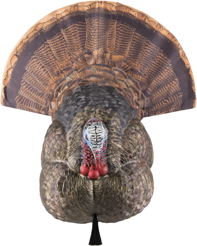 Avian X Lcd Strutter Decoy