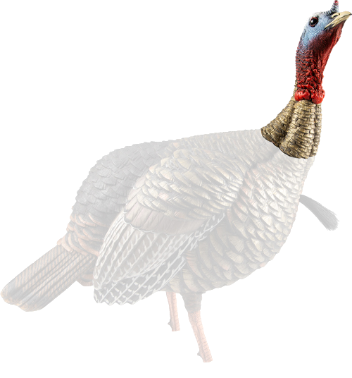 Avian X Hdr Jake Decoy