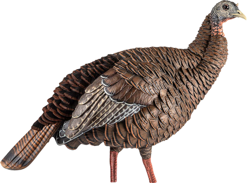 Avian X Hdr Hen Decoy