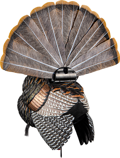 Avian X Hdr Strutter Decoy