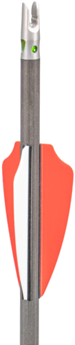 Axe Crossbow Micro Bolt .166" with Lighted Nock 18" 3-Pack