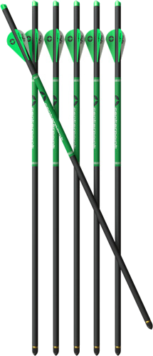 CenterPoint Crossbow Arrow 20" CP400 Carbon 6-Pack
