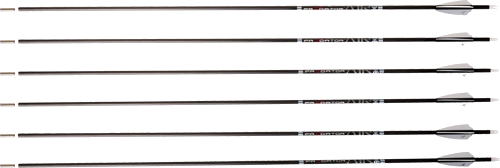 Carbon Express Arrow Predator AIR 400 2" Q2i Vanes 6-Pack
