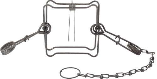 Duke Traps 160 Body Trap of 12 Case