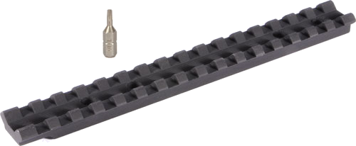 Evolution Gun Works Base Ruger American Short Action Pctny Rail 20 MOA Riflescope