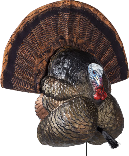 Flextone Decoys Thunder Creeper Strutter Decoy with Folding Fan