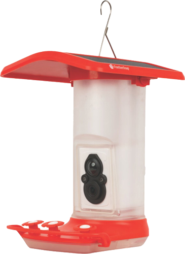 FeatherSnap Hummingbird Feeder Wi-Fi Solar Powered with Camera