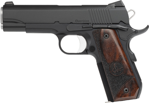 Dan Wesson Guardian 9mm Pistol
