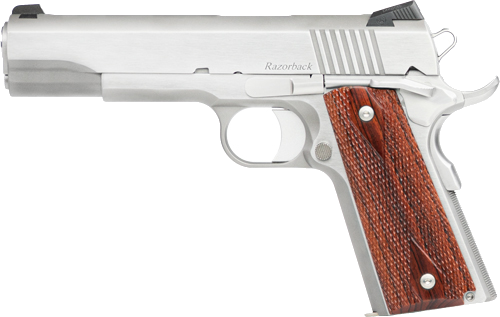 Dan Wesson Razorback 10mm Pistol
