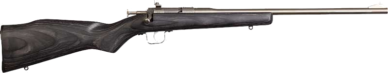 Chipmunk .22 LR Rifle