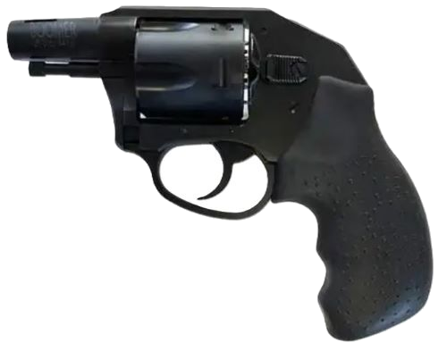 Charter Arms Boomer 2" 9mm Revolver