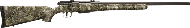 Savage Arms 25 Walking Varminter 17HORNT 22" Bl/Rt-MAX1 Rifle