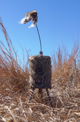 Mojo Outdoors Super Critter with Critter Topper & Speaker