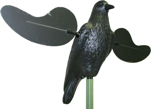 Mojo Outdoors Crow Spinning Wing Decoy with Built in On/Off Times