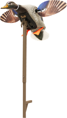 Mojo Outdoors Elite Series Mini Mallard Drake Decoy