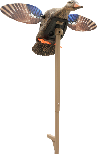 Mojo Outdoors Elite Series Mini Mallard Hen Decoy