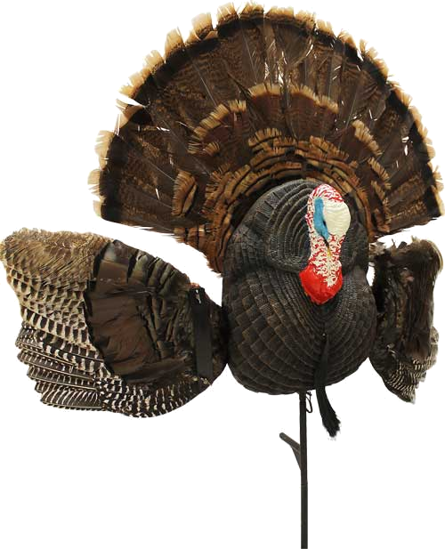 Mojo Outdoors Scoot N Shoot Max Turkey Decoy