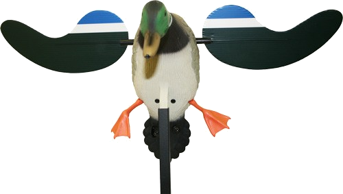MOJO Outdoors Baby Mojo Drake Decoy