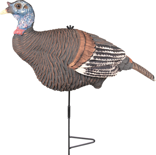 Knight and Hale Lookout Hen Decoy with Ground Stake