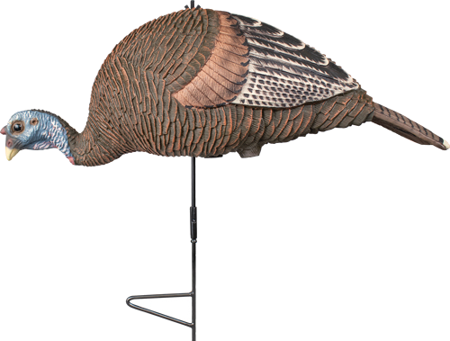 Knight and Hale Feeding Hen Decoy with Ground Stake