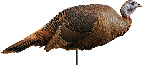 Montana Decoy Company Turkey Spring Fling Hen