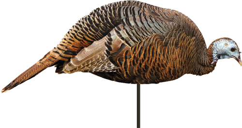Montana Decoy Company Turkey Hen Dinner Belle