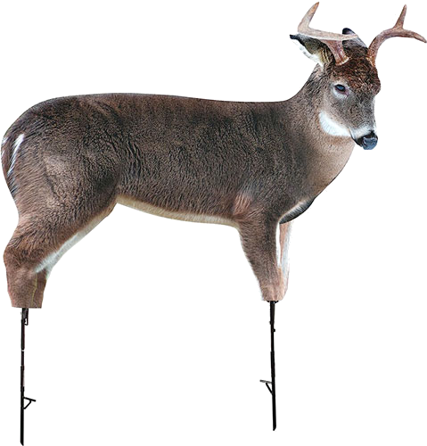 Montana Decoy Company Deer The Freshman Buck