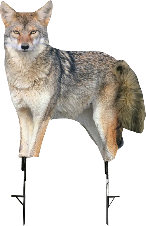 Montana Decoy Company Song Dog