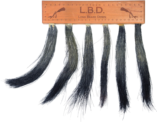 Pittman Game Calls Long Beard Down Multi Turkey Beard Mount
