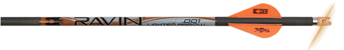 Ravin Crossbow Arrow Premium Match Grade Lighted Nock .001" 3-Pack