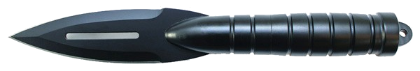 Smith & Wesson S&W Spear with Sheath