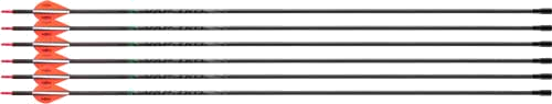 Victory Archery Vap Tko Gamer 400 Arrow Fletched 6-Pack