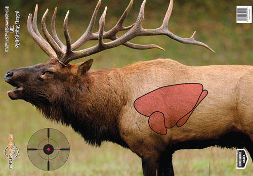Birchwood Casey Target Pregame 16.5"X24" Elk Target 3-Targets